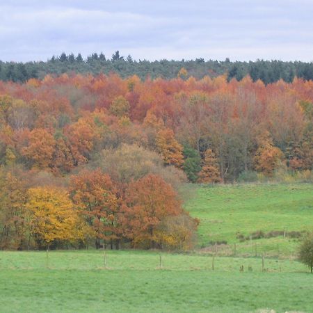 Hallerbos B&B In Bluebell Forest Halle  Exterior photo